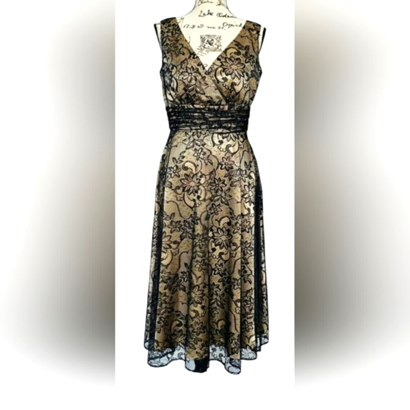 Coldwater Creek Dresses & Skirts - NEW Coldwater Creek Black Lace Overlay Nude Lined Vneck Fit & Flare Formal Dress